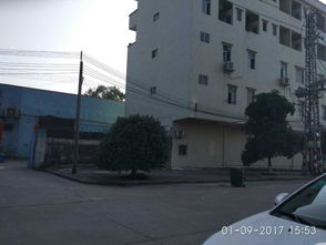 機械廠廠房及設備整體租賃 高適應性生產空間，助力企業高效運營